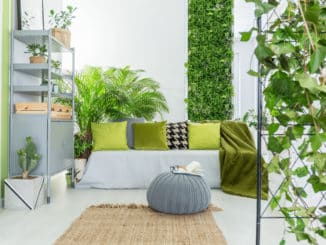 Wohnzimmer mit vielen Pflanzen